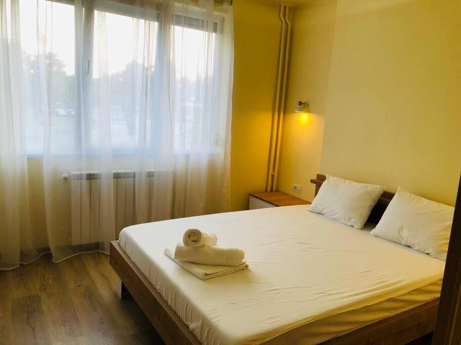 Joy City Stay Victoriei 7G-3 Timişoara Exterior foto
